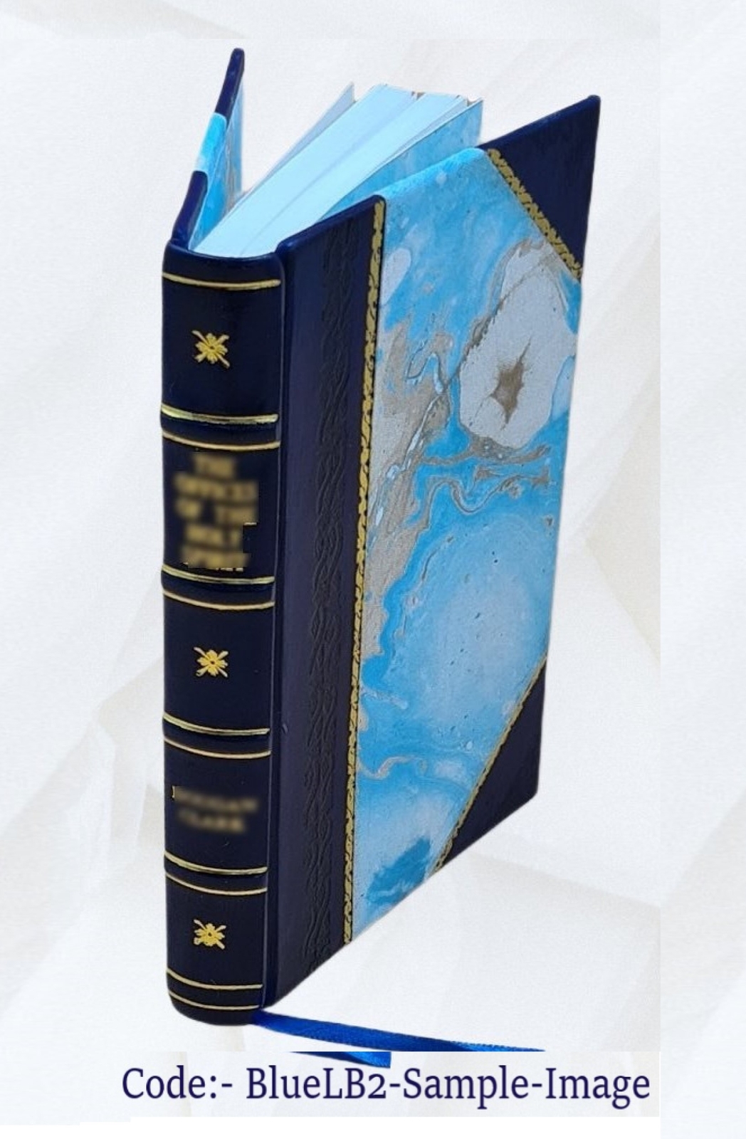 Regula Placitandi: A Collection Of Special Rules For Pleading Fr [Leather Bound]