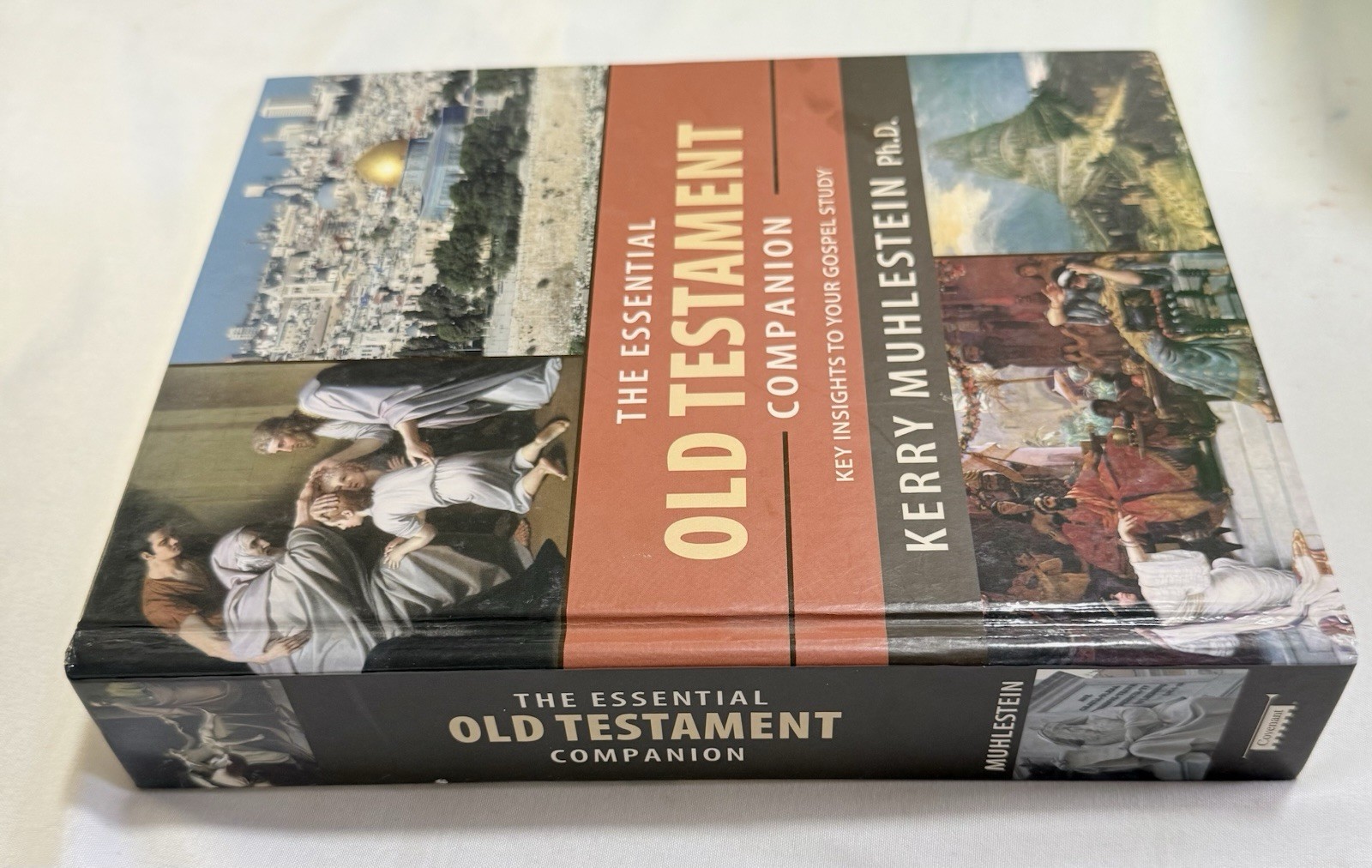 Essential Old Testament Companion by Kerry Muhlestein Hardbound 2013 Trade