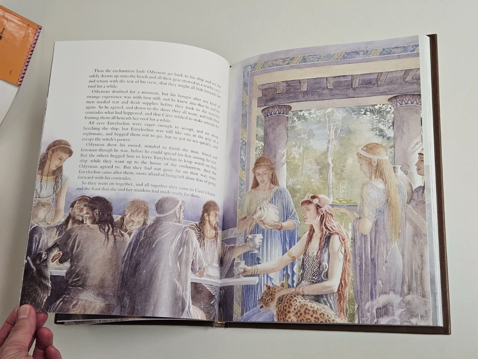 The Wanderings of Odysseus: THE STORY OF THE ODYSSEY Hardcover DUST JACKET 1996