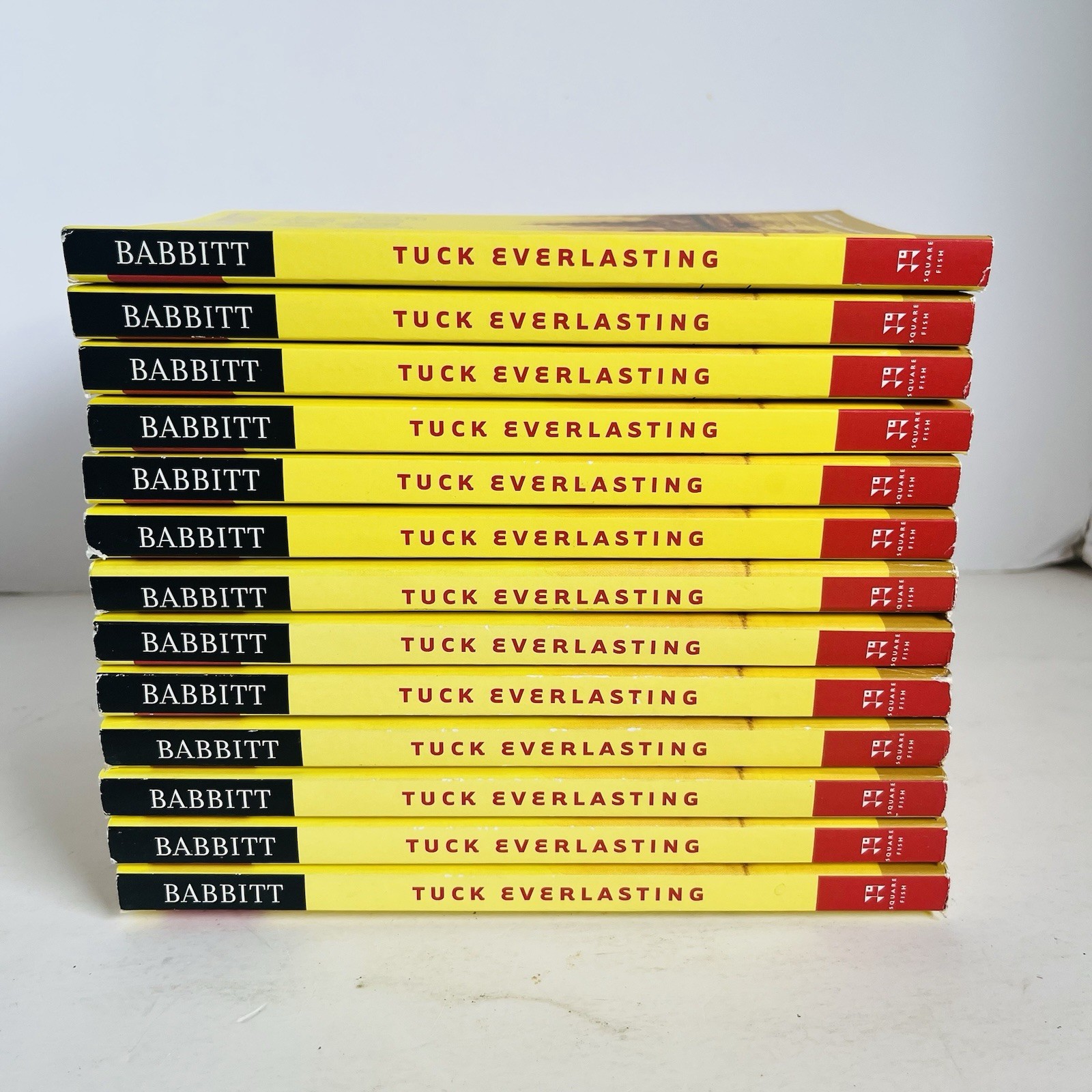 Lot of 13 Tuck Everlasting Natalie Babbitt Square Fish Classroom Guided Reading