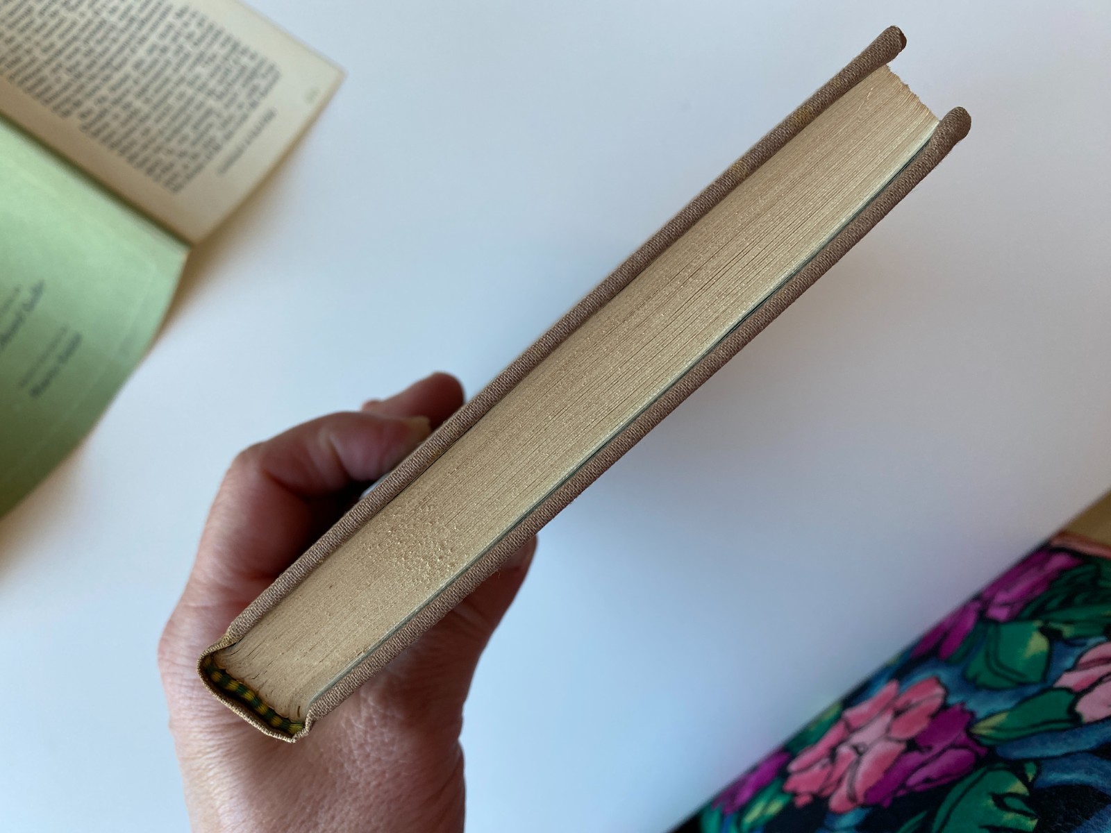PORTENT~George MacDonald~MAURICE SENDAK~Inner Vision~HIGHLANDERS~Second Sight~