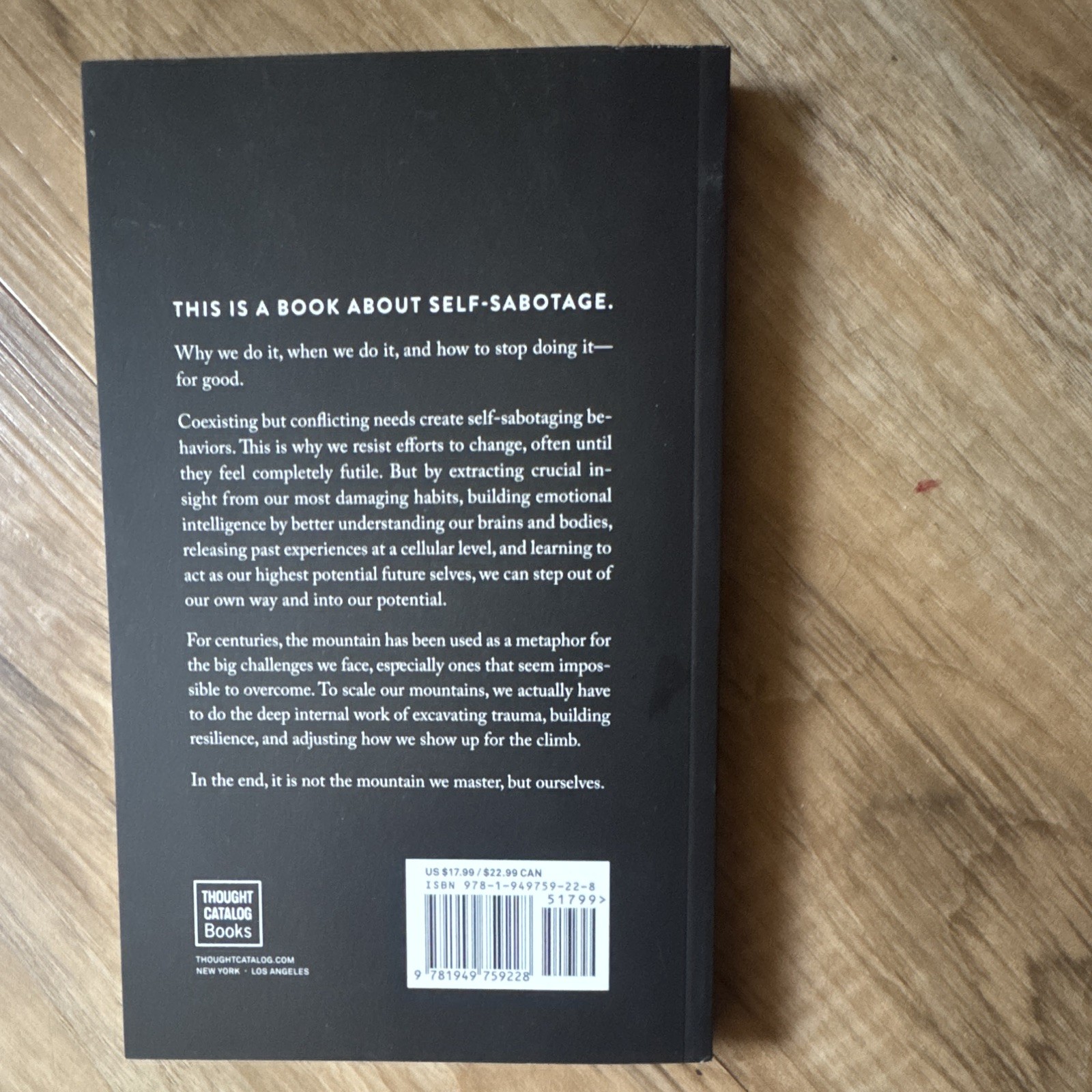 Thought Catalog Books The Mountain Is You by Brianna Wiest Paperback Self-Help
