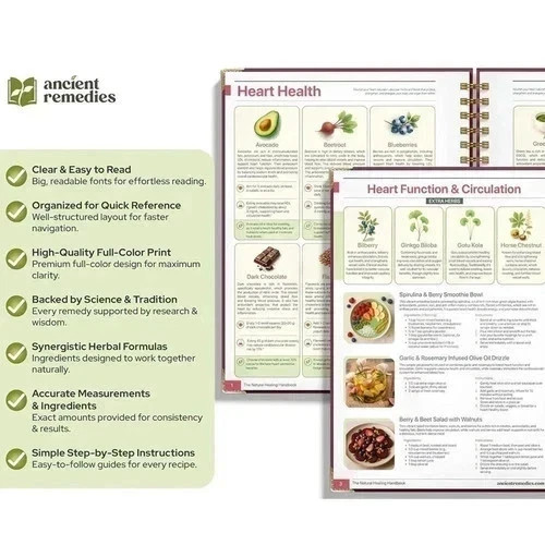 The Natural Healing Handbook Spiral Bound Guide For Herbal Remedies And Natural