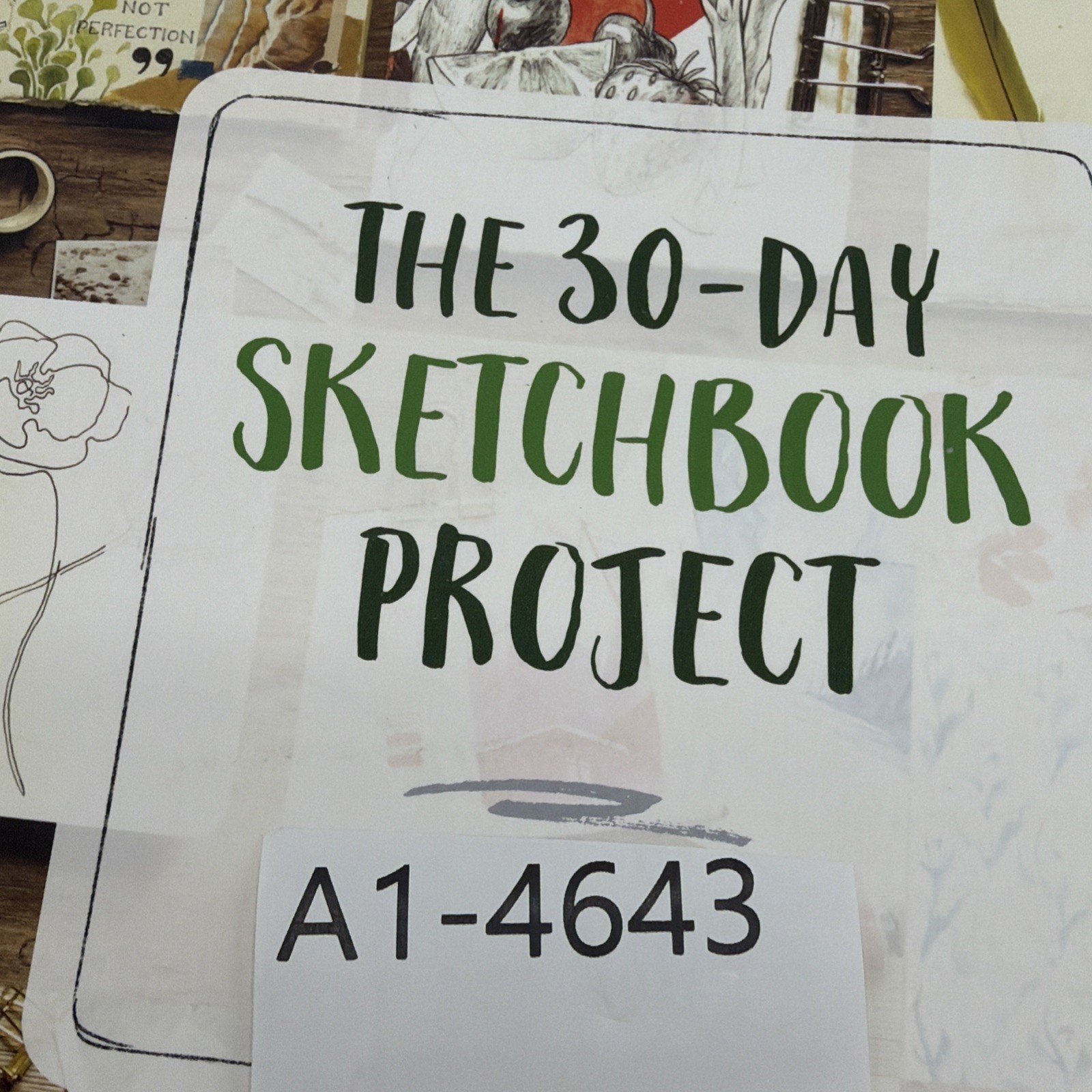 The 30-Day Sketchbook Project: Daily Exercises and Prompts to Fill Pages,: Used