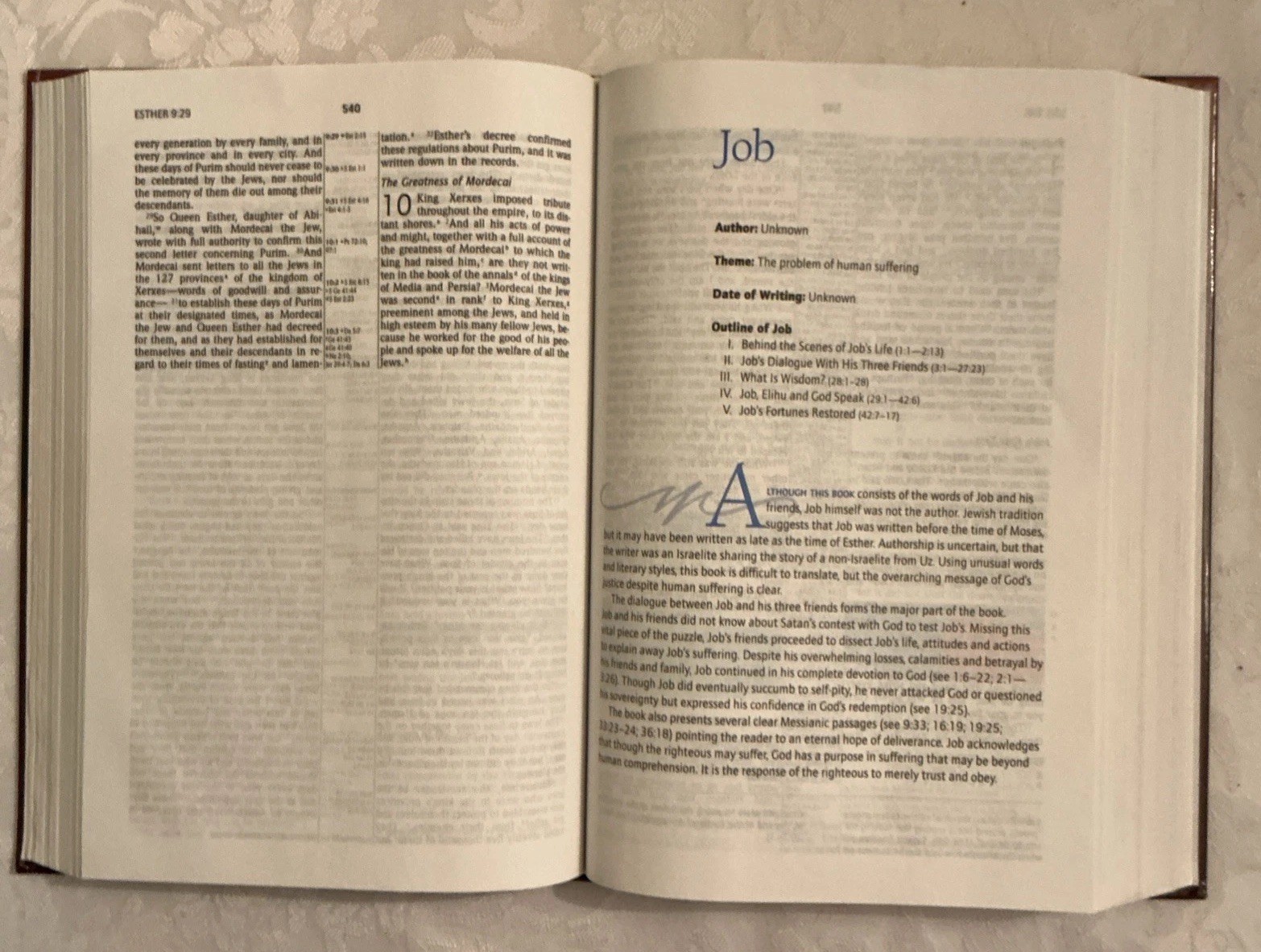 NIV Prophecy Marked Reference Study Bible 1998 Hardcover