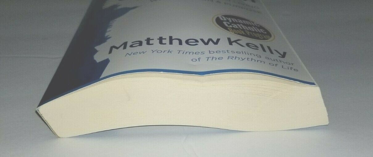 REDISCOVER Catholicism 317 page paperback book by Matthew Kelly Spiritual Guide