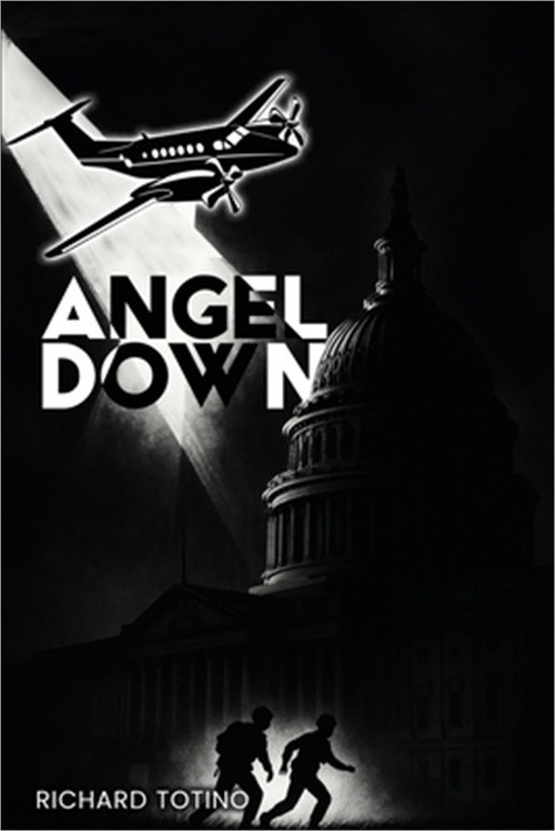Angel Down (Paperback or Softback)