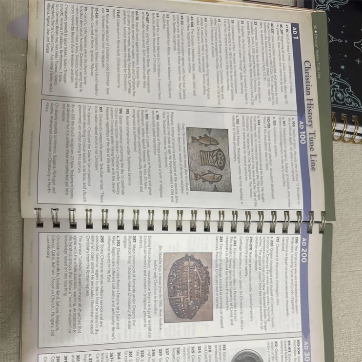 Rose Book of Bible Charts Maps & Time Lines 10th Anniversary Study Reference-US