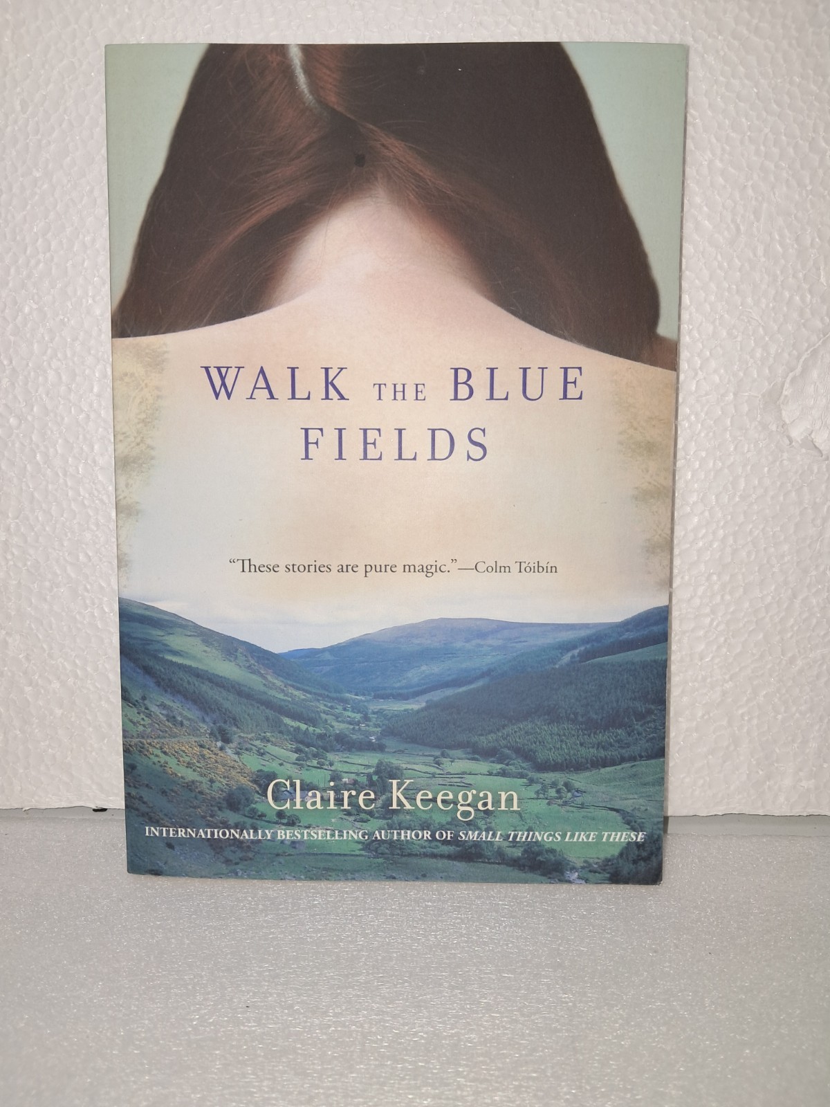 Claire Keegan Walk the Blue Fields – Short Stories of Modern-Day Ireland