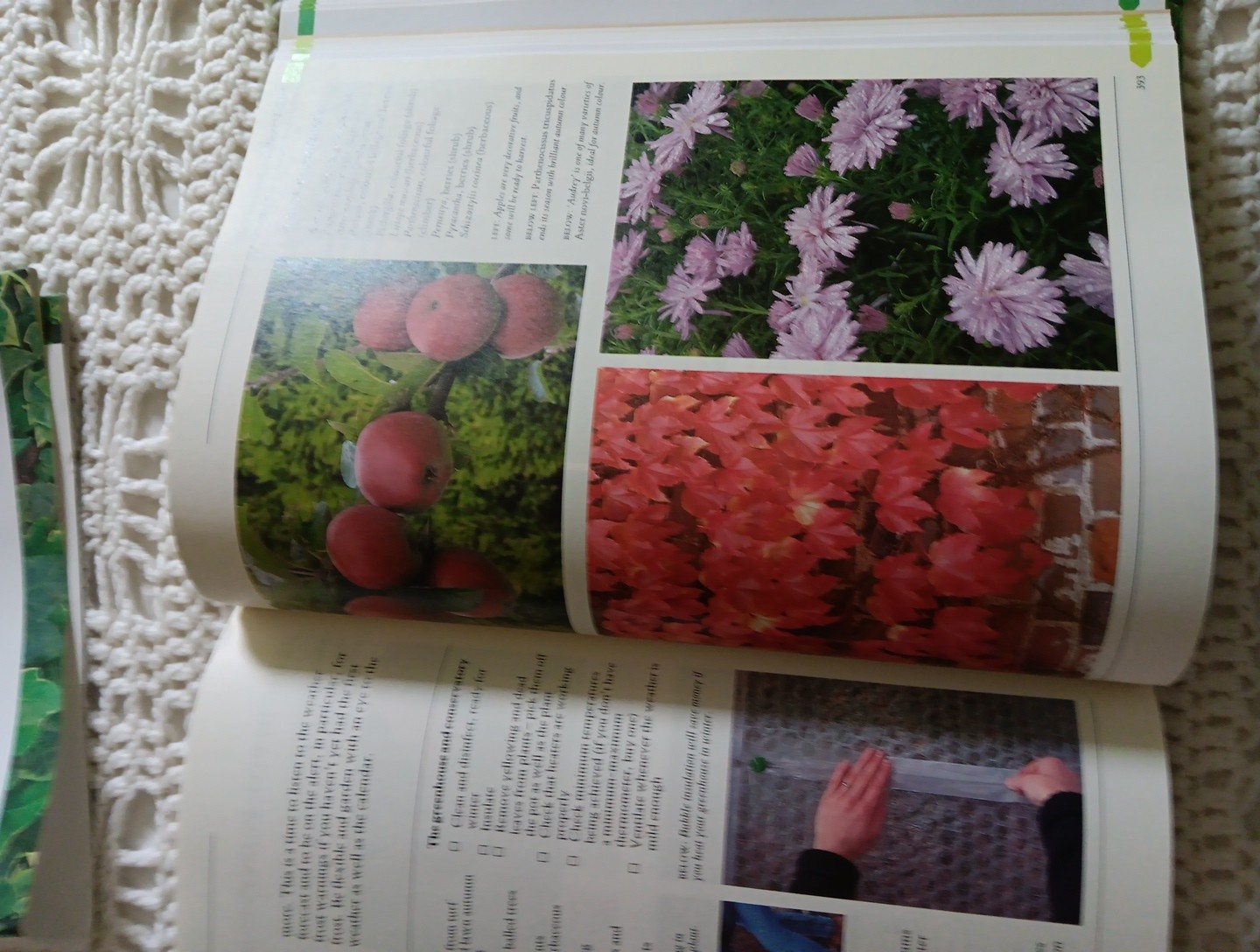 THE COMPLETE BOOK OF PRACTICAL GARDENING Peter McHoy 2001 512 Pages 12×9″ HC DJ