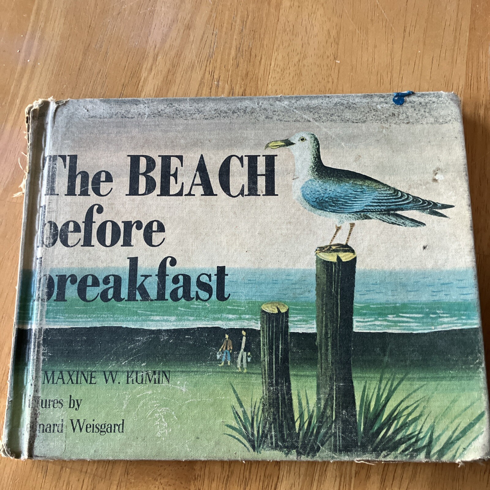 Beach Before Breakfast by Maxine Kumin