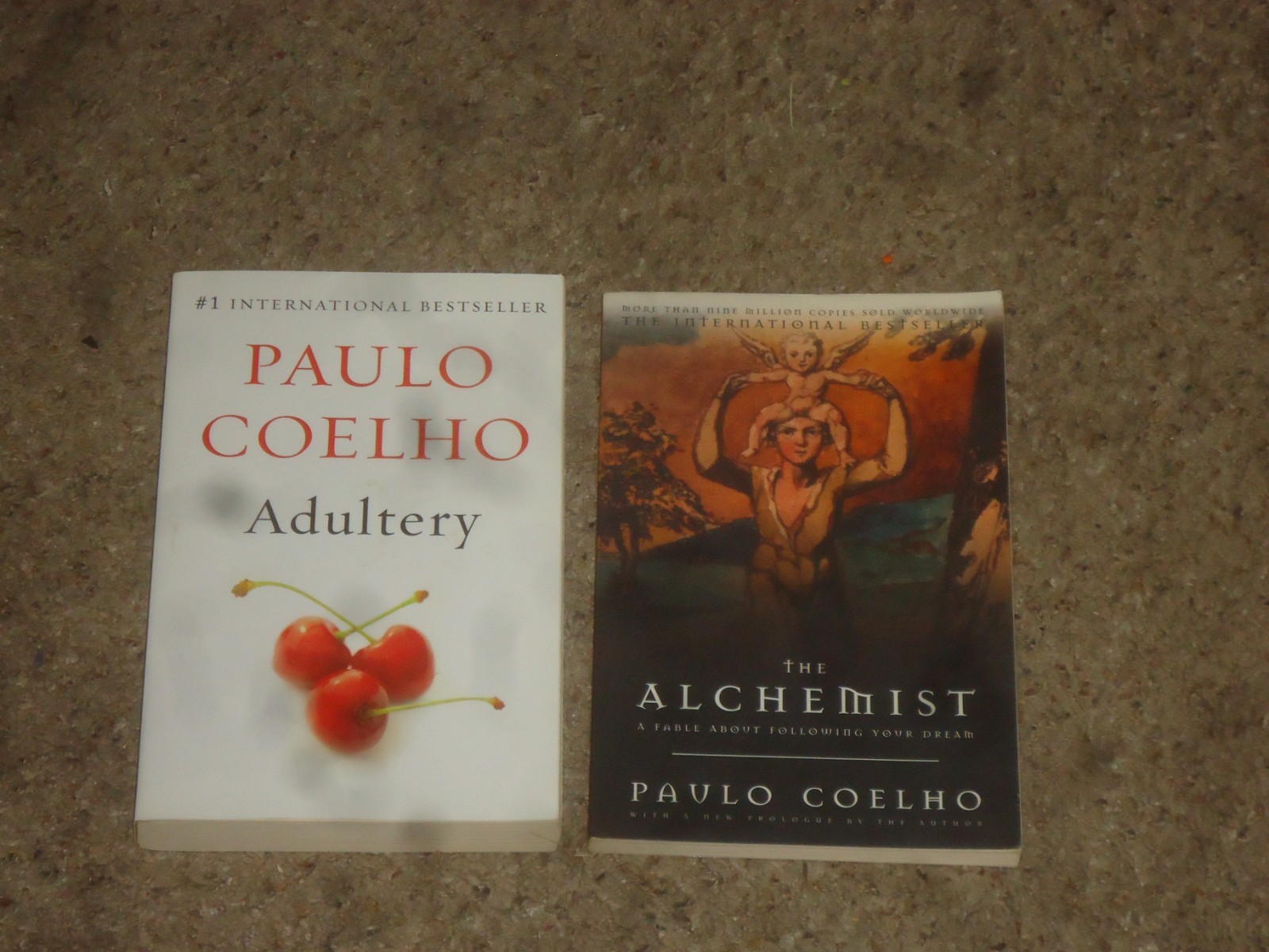 Lot 10 Paulo Coelho Novels Alchemist Brida Valkyries Zahir Witch Portobello Adul