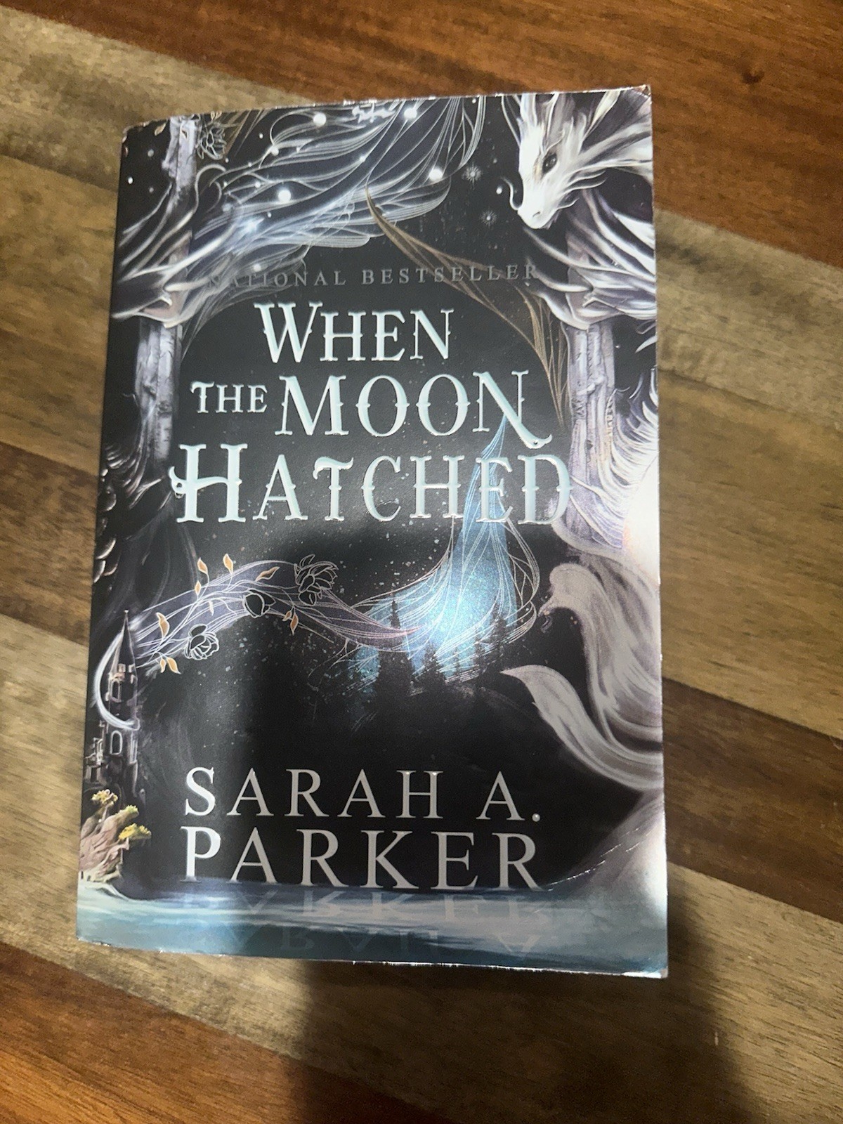 When The Moon Hatched a Novel By Sarah A. Parker Paperback