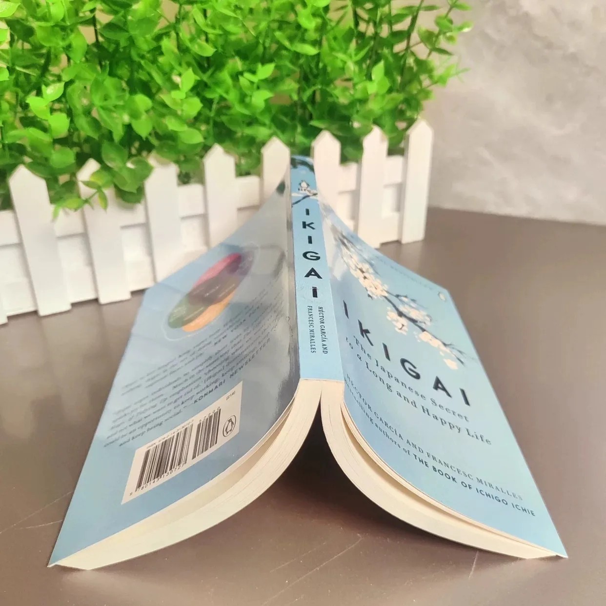 Ikigai: The Japanese secret to a long and happy life By Héctor García