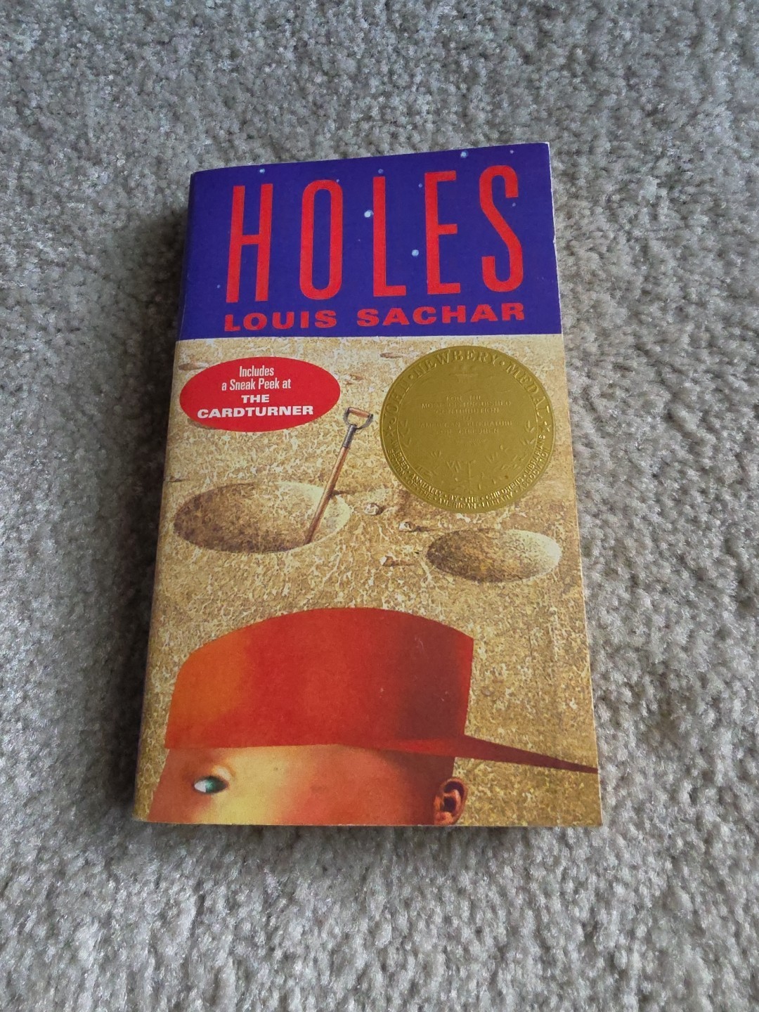 Holes by Louis Sachar (2008 Paperback)