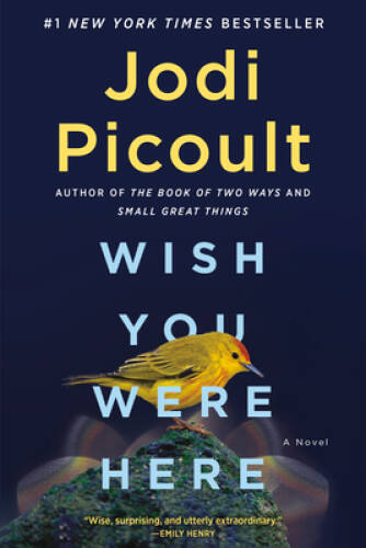 Wish You Were Here: A Novel – Paperback By Picoult, Jodi – GOOD