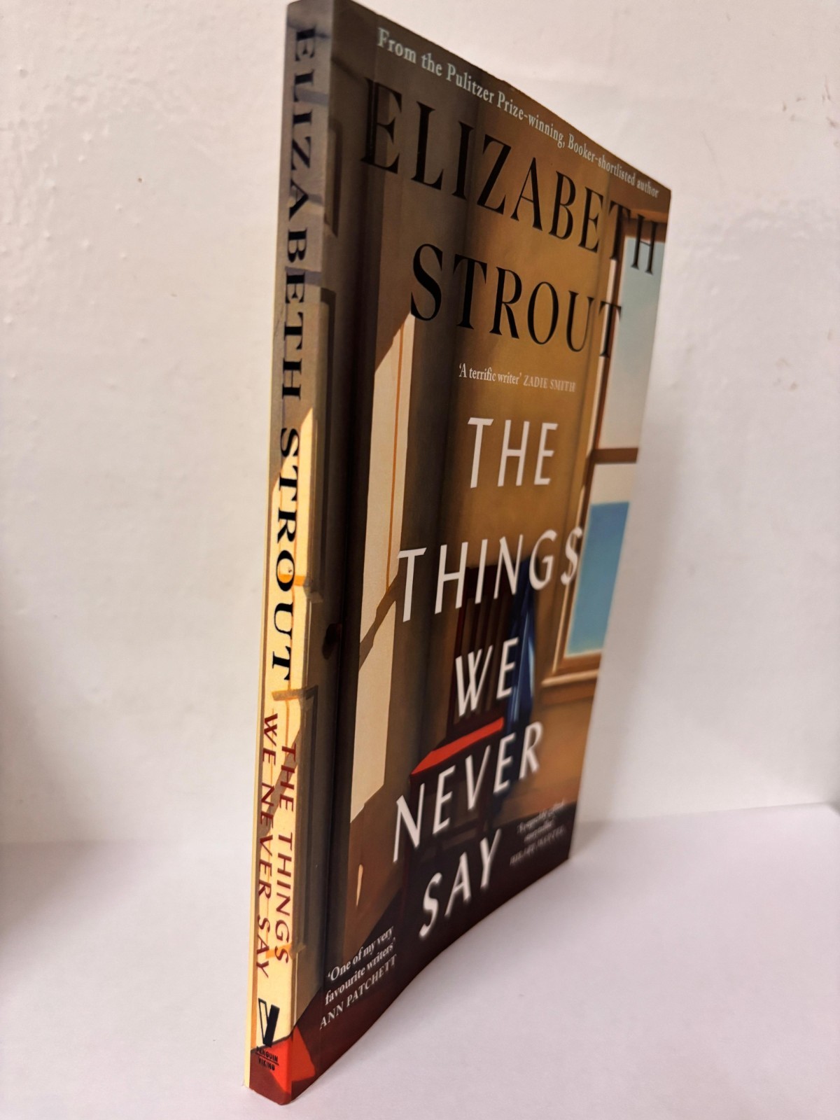 The Things We Never Say by Elizabeth Strout Paperback New Book US