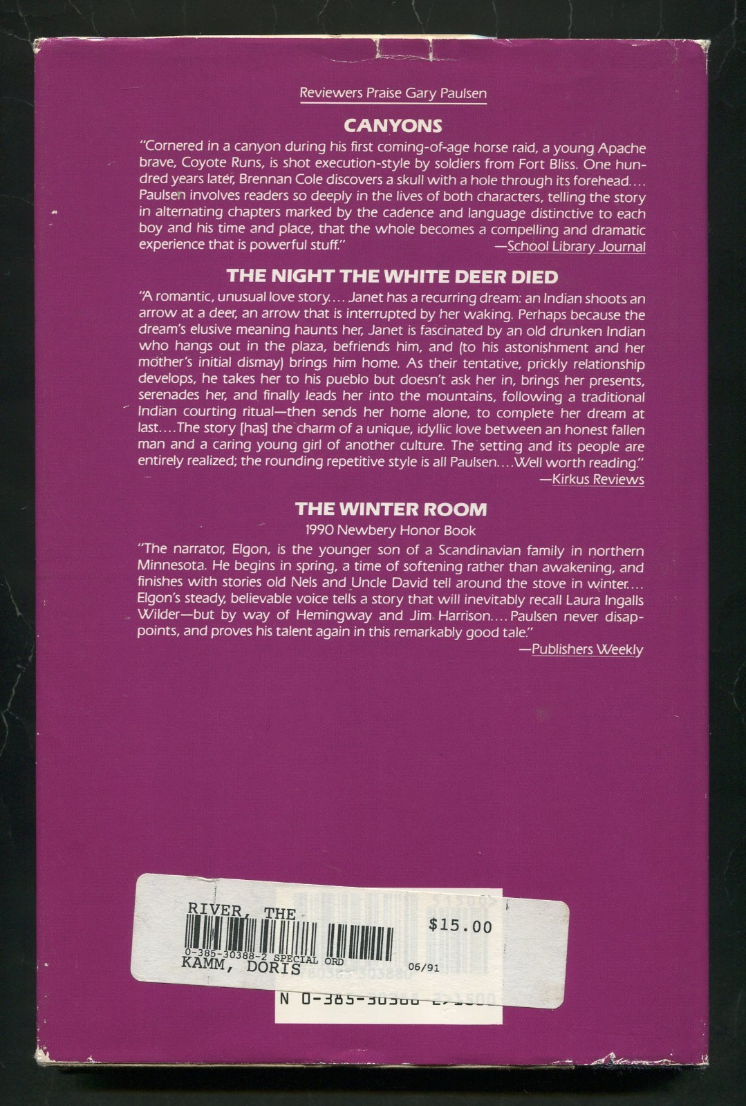 The River : The Sequel to Hatchet by Gary Paulsen (Hardcover, First 1st, 1991)