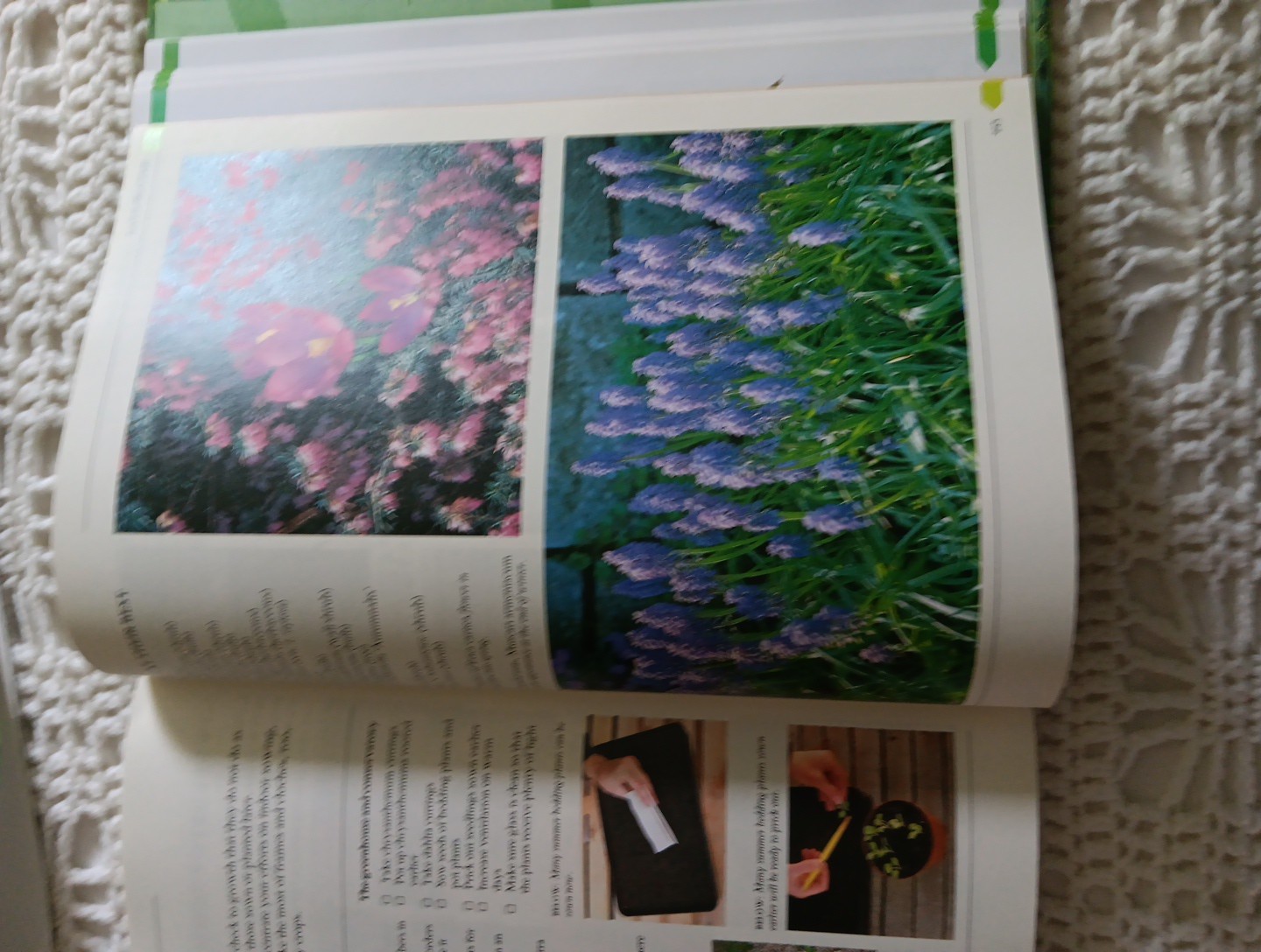 THE COMPLETE BOOK OF PRACTICAL GARDENING Peter McHoy 2001 512 Pages 12×9″ HC DJ