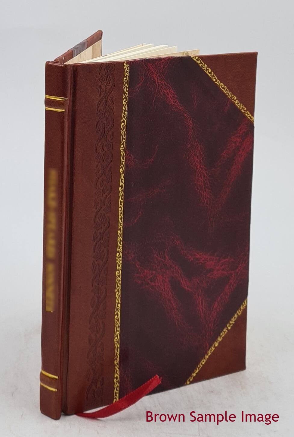 Lecture, Introductory To The Course On The Theory And Practice O [Leather Bound]
