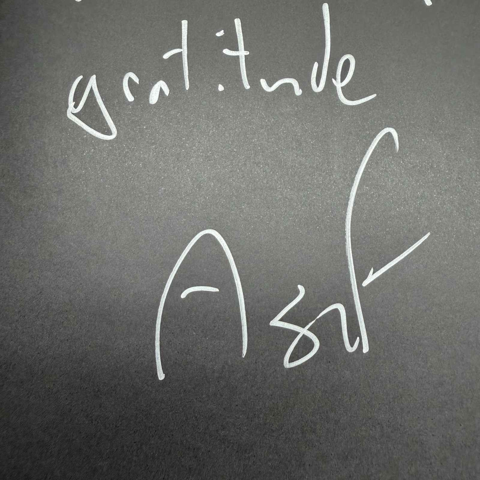 Scar Tissue Assaf Pocker Art Photography Book HAND SIGNED by author – READ