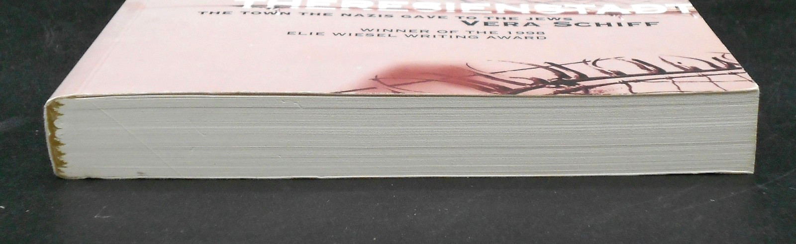 THERESIENSTADT: THE TOWN THE NAZIS GAVE TO THE JEWS by SCHIFF 2006, SIGNED PB NF