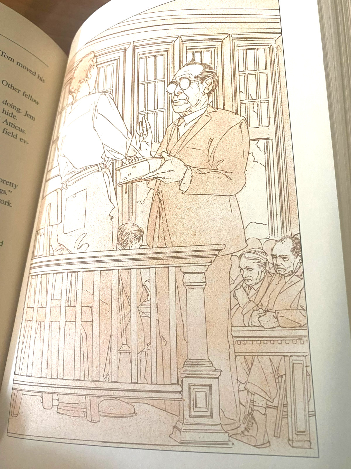 RARE ILLUSTRATED! To kill a Mockingbird by Harper Lee (1993, Hardcover) MINT