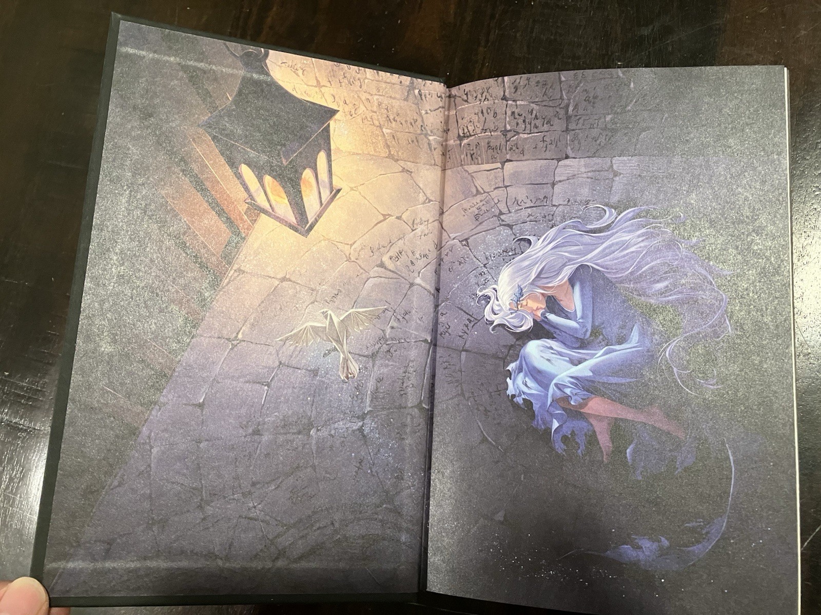 *Signed* The Ballad Of Falling Dragons by Sarah A. Parker – B&N Deluxe Edition