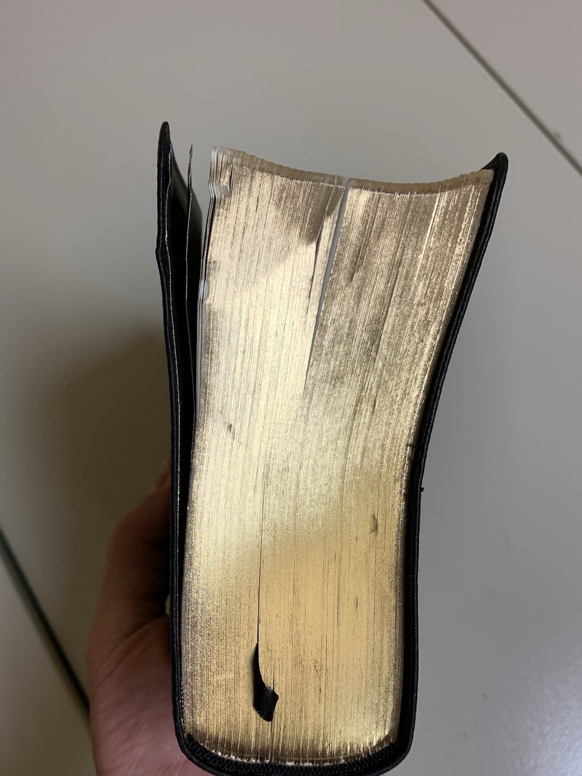 TLV Tree of Life Version Personal Size Giant Print Ref Bible Black Messianic