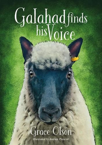 Grace Olson Galahad finds his Voice (Paperback)