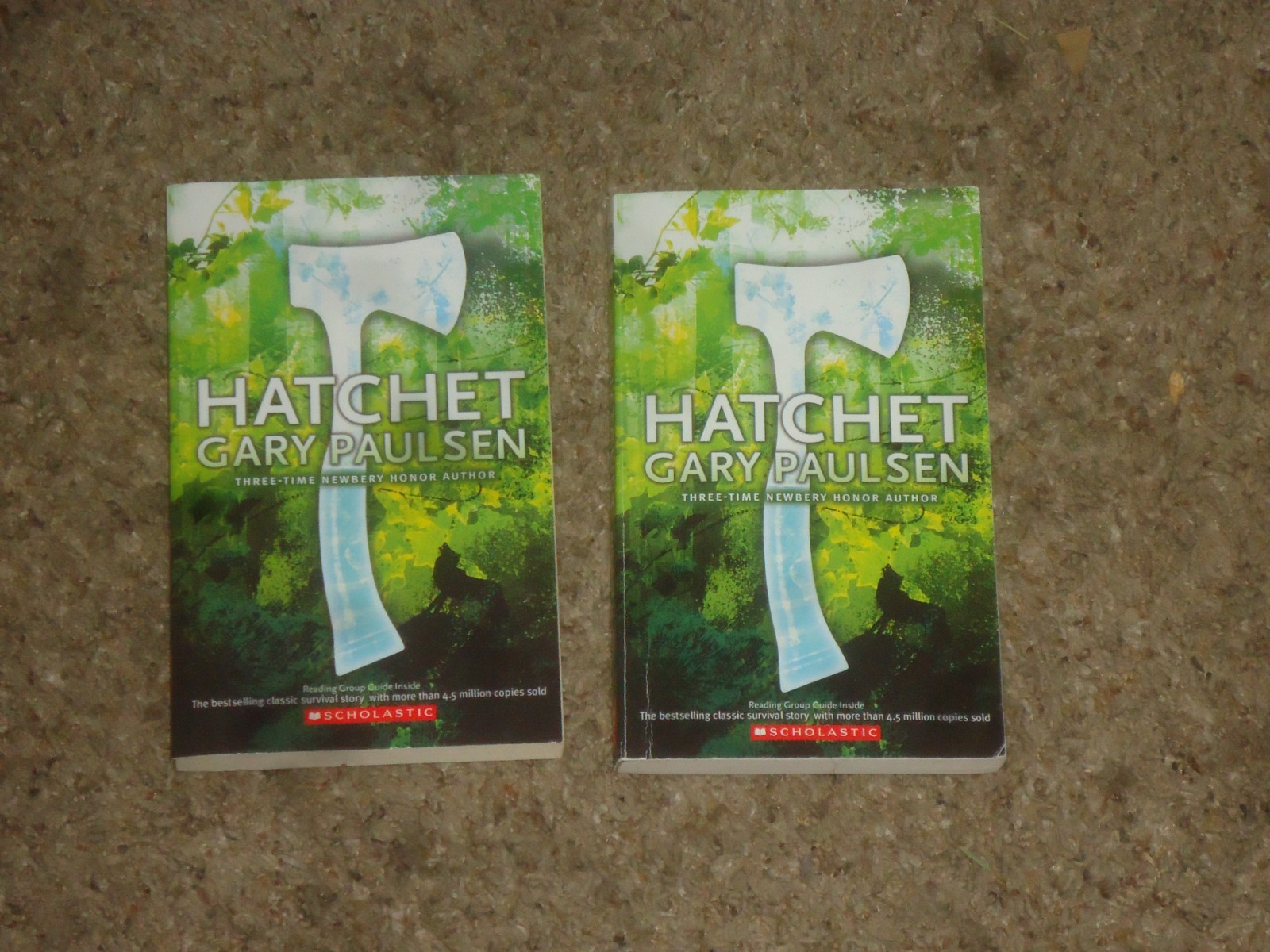Lot 20 Hatchet Books Teacher Class Set Gary Paulsen Guided Reading