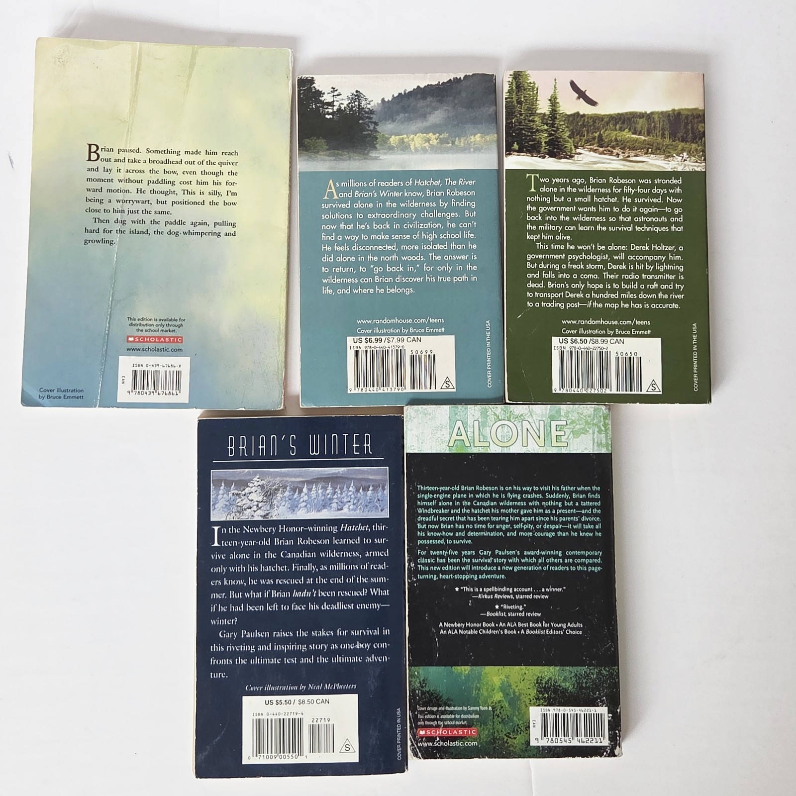 Hatchet COMPLETE Brian’s Saga Gary Paulsen Series SET Lot Books (1-5) Paperback