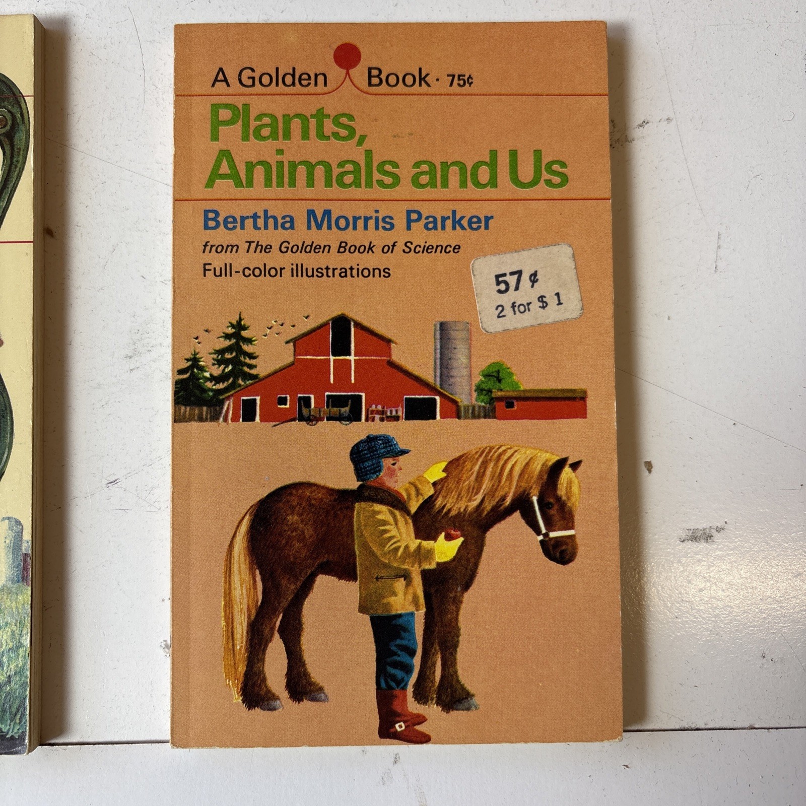 Vintage LOT of 17 Hardcover Books – Golden Guide/Golden Press Books (18P)