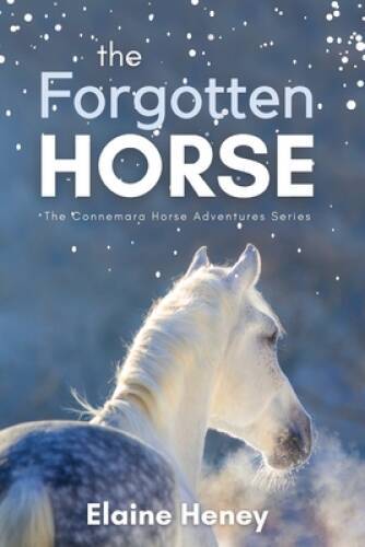 The Forgotten Horse – Book 1 in the Connemara Horse Adventure Series – VERY GOOD