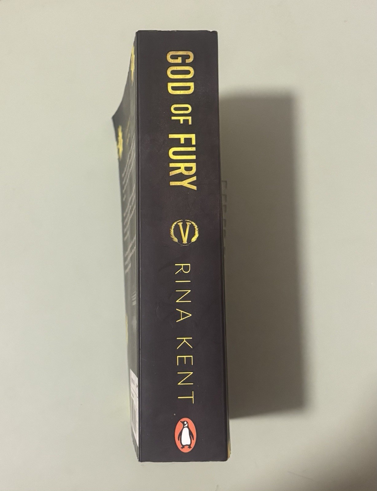 God of Fury (Legacy of Gods) by Rina Kent Paperback Novel, Penguin, English