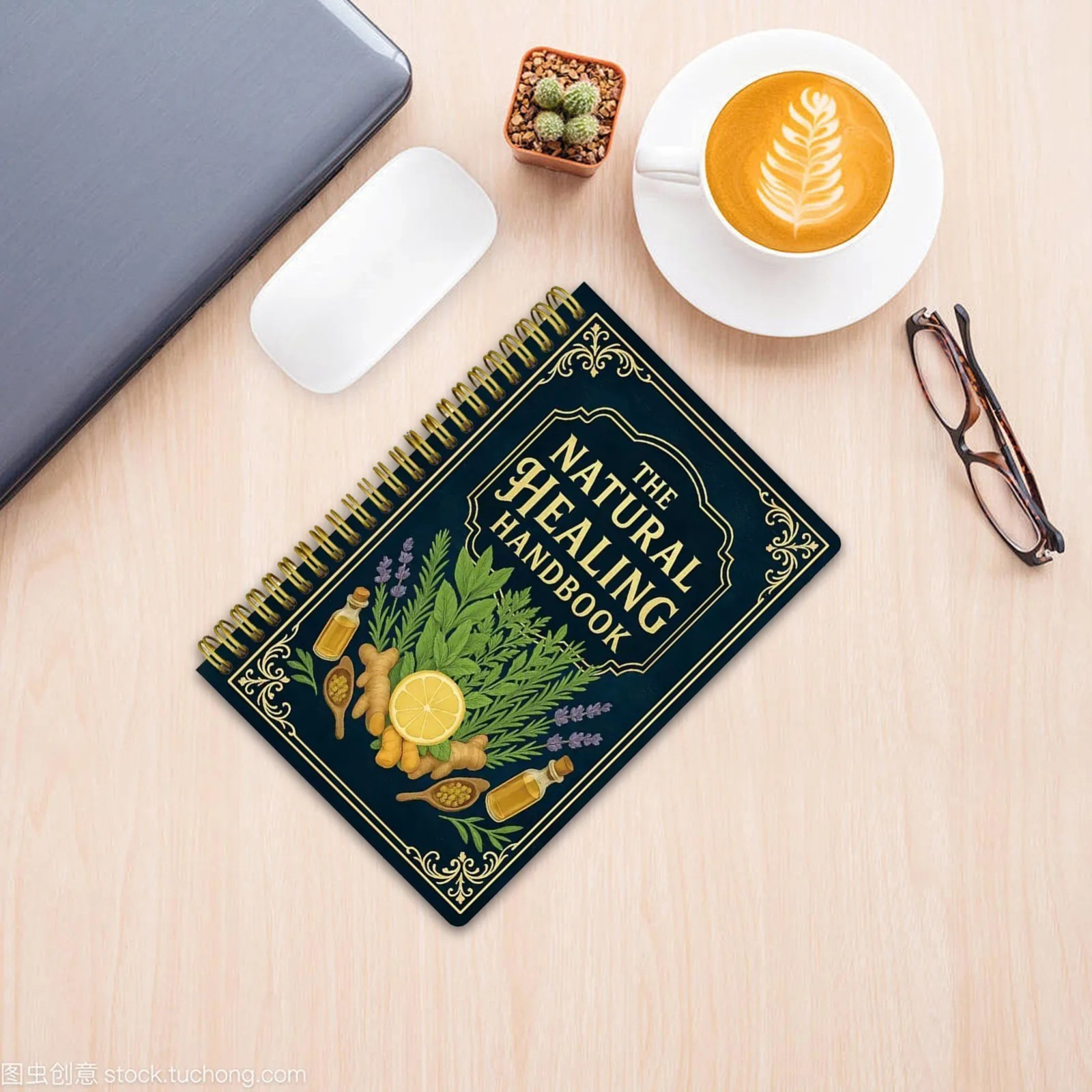 The Natural Healing Handbook Spiral-Bound Guide for Herbal Remedies & Natural