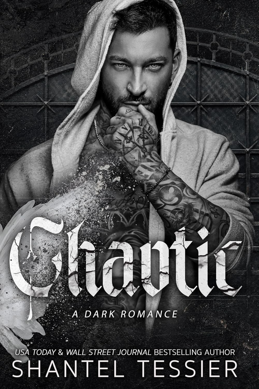 Chaotic A Dark Romance by Shantel Tessier Paperback