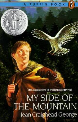 My Side of the Mountain – Paperback By George, Jean Craighead – GOOD