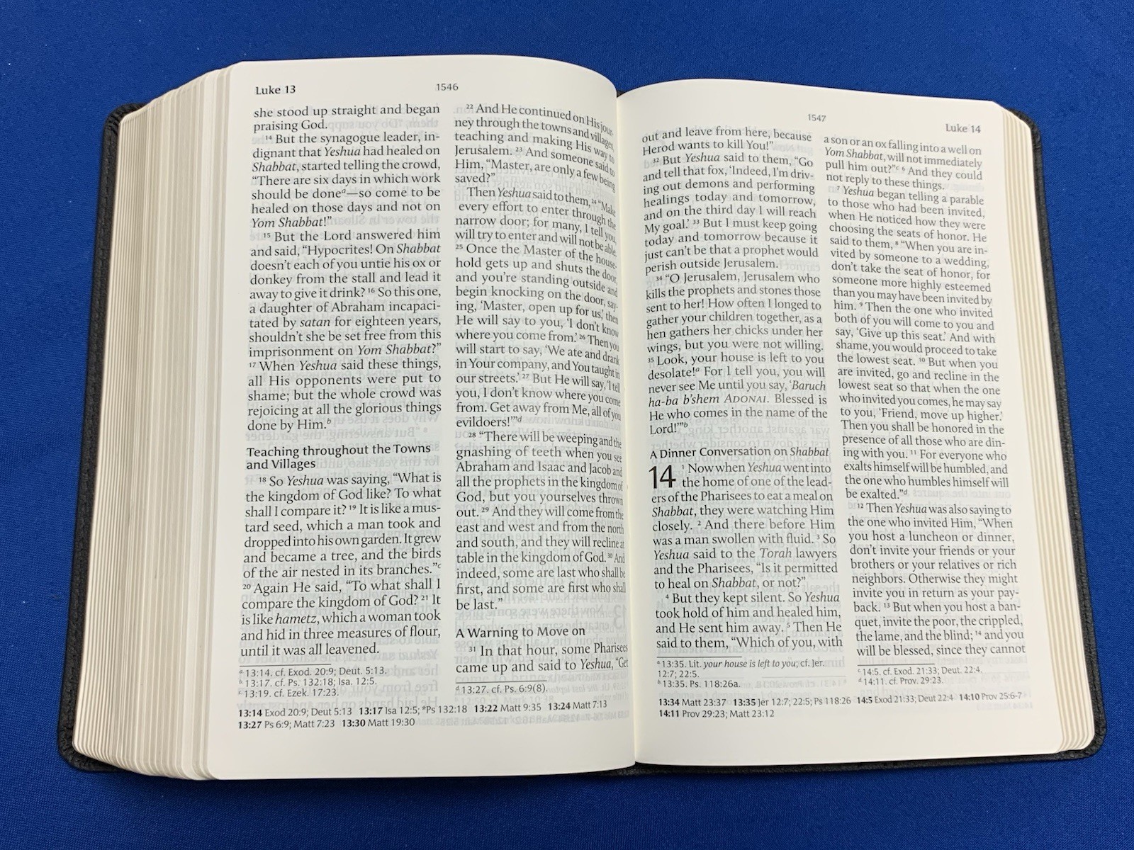 TLV Tree of Life Version Personal Size Giant Print Ref Bible Black Messianic