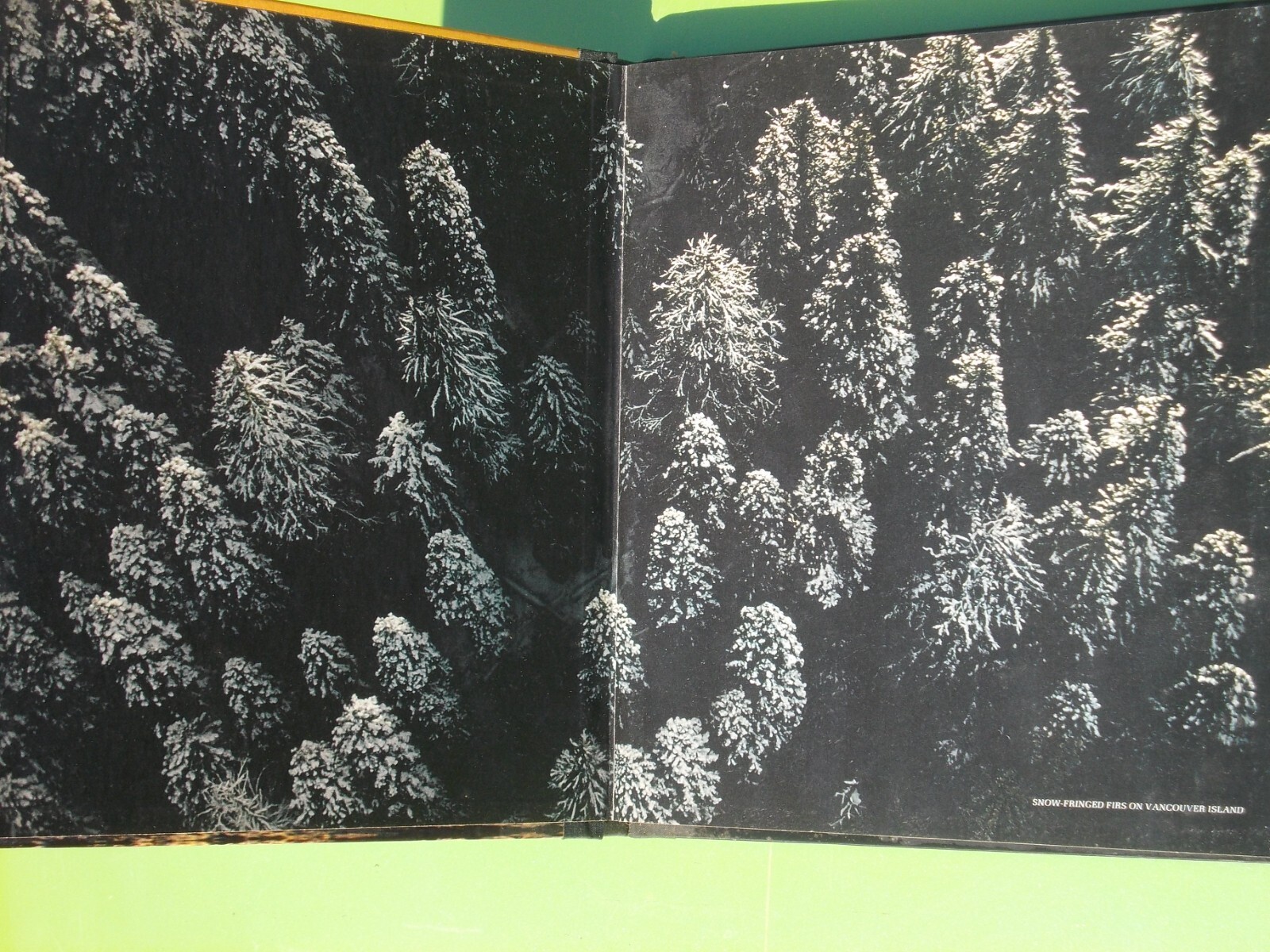 THE NORTHWEST COAST TIME-LIFE THE AMERICAN WILDERNESS (1973 HARDCOVER 184 PAGES)