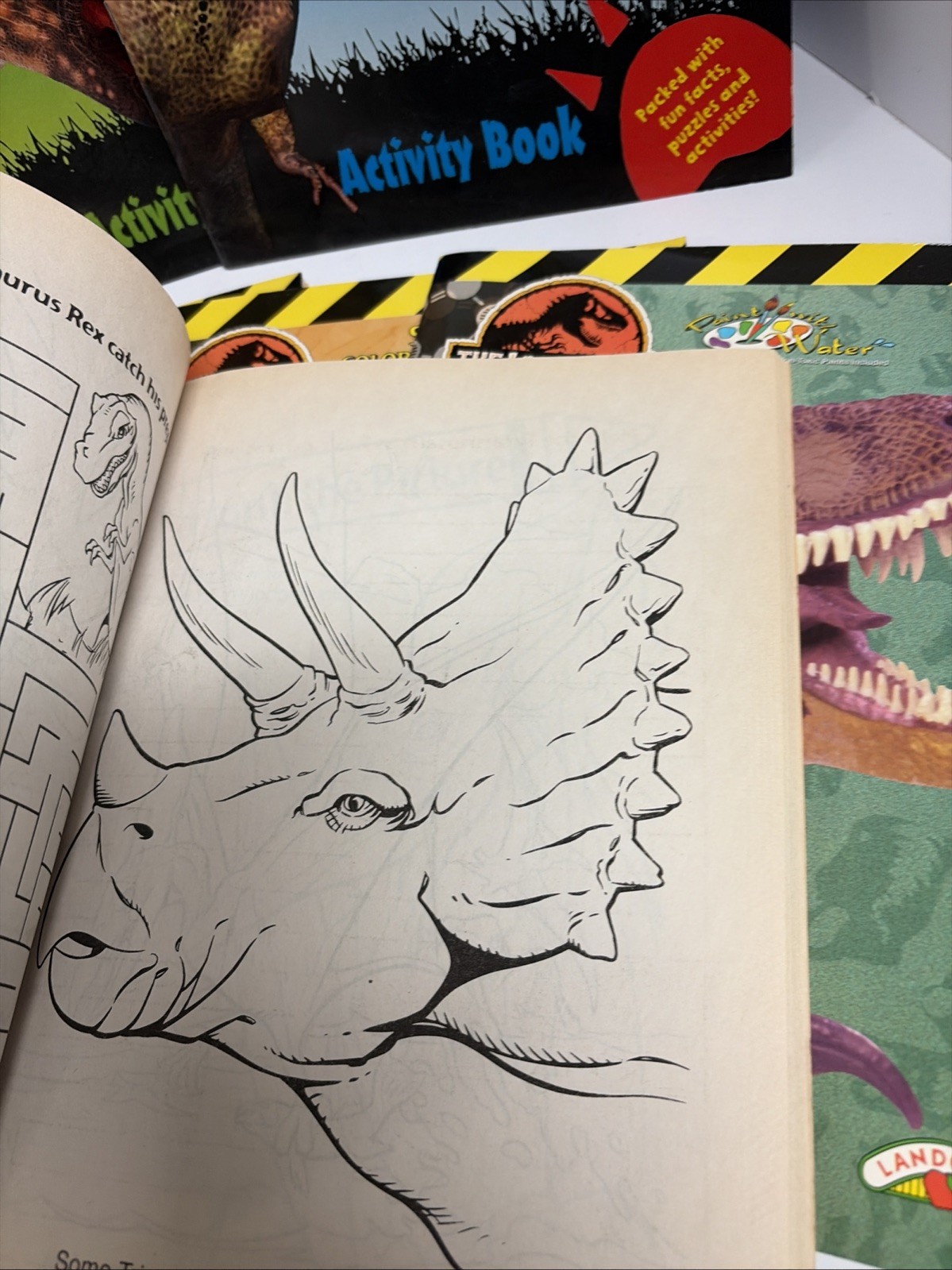 10 DINOSAURS ACTIVITY BOOKS. Paint, Color, Stickers & Puzzles NOS