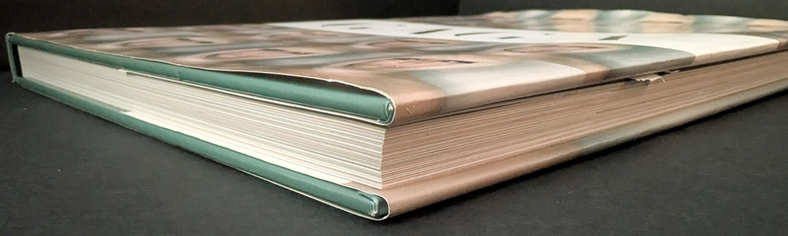 Johnny Morgan Gaga 2010 Book Hardcover 160 Pages *PLEASE READ*