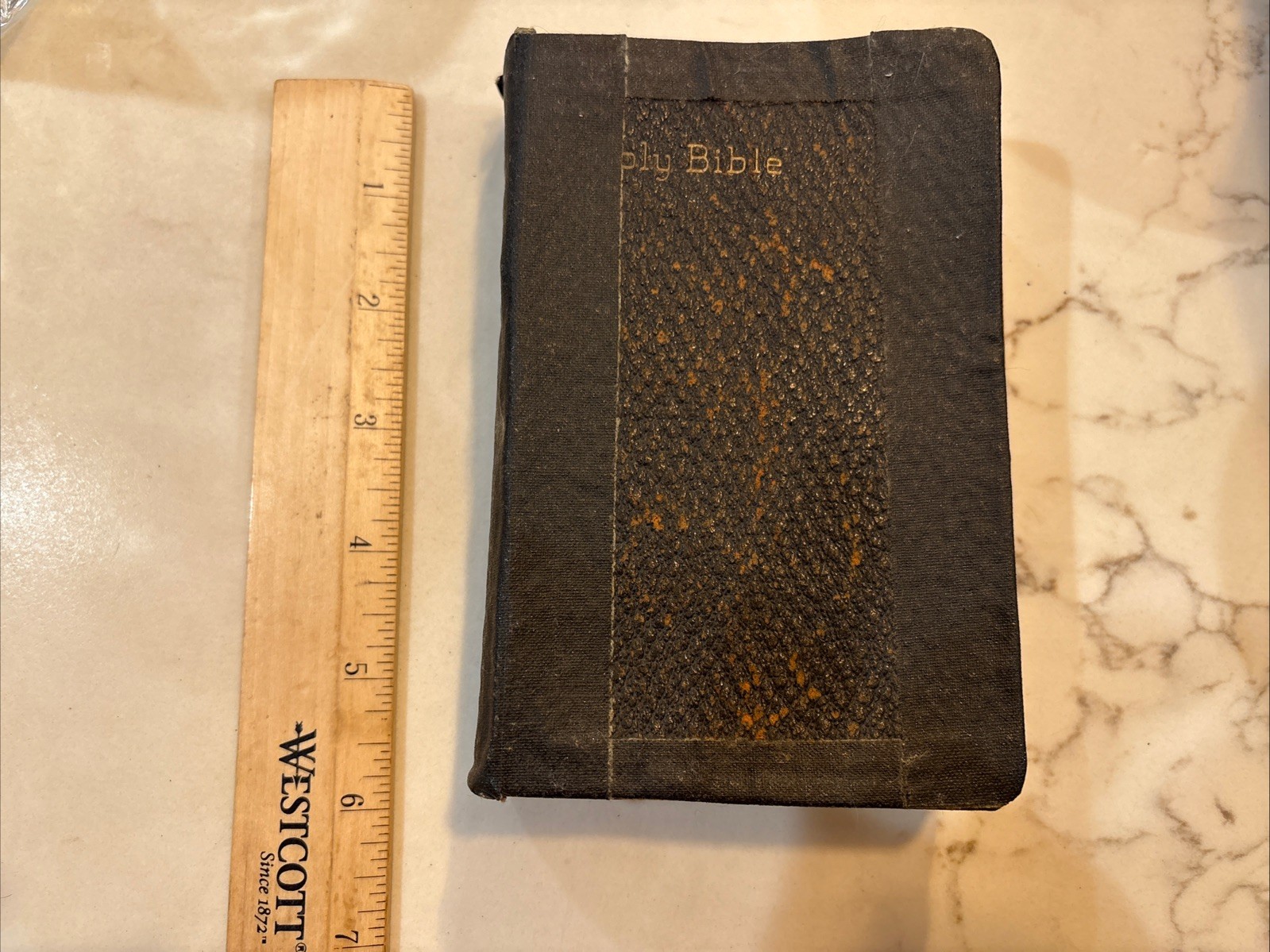 Antique Holy Bible Appointed to be read in Churches 1910 Cambridge London