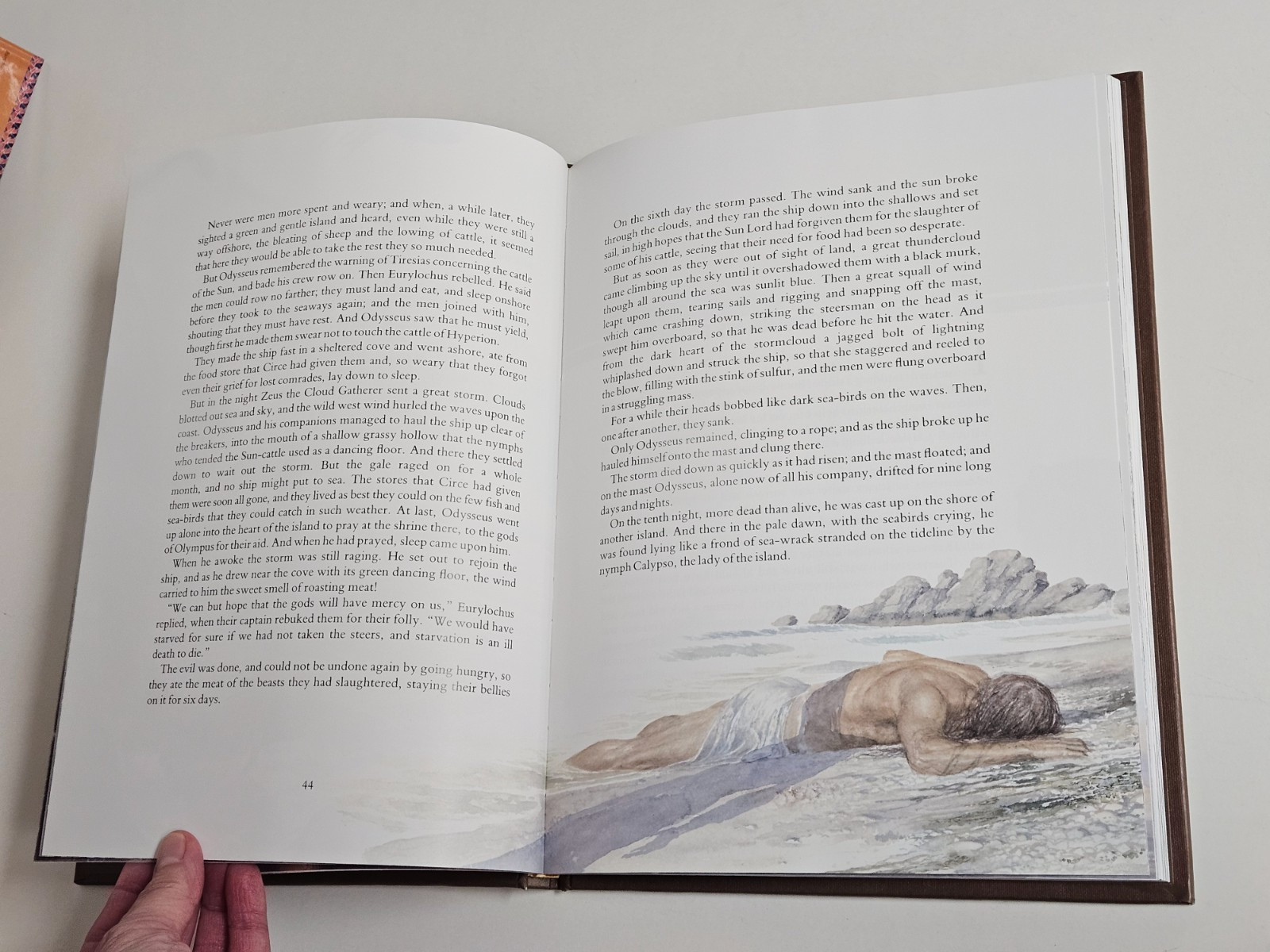 The Wanderings of Odysseus: THE STORY OF THE ODYSSEY Hardcover DUST JACKET 1996