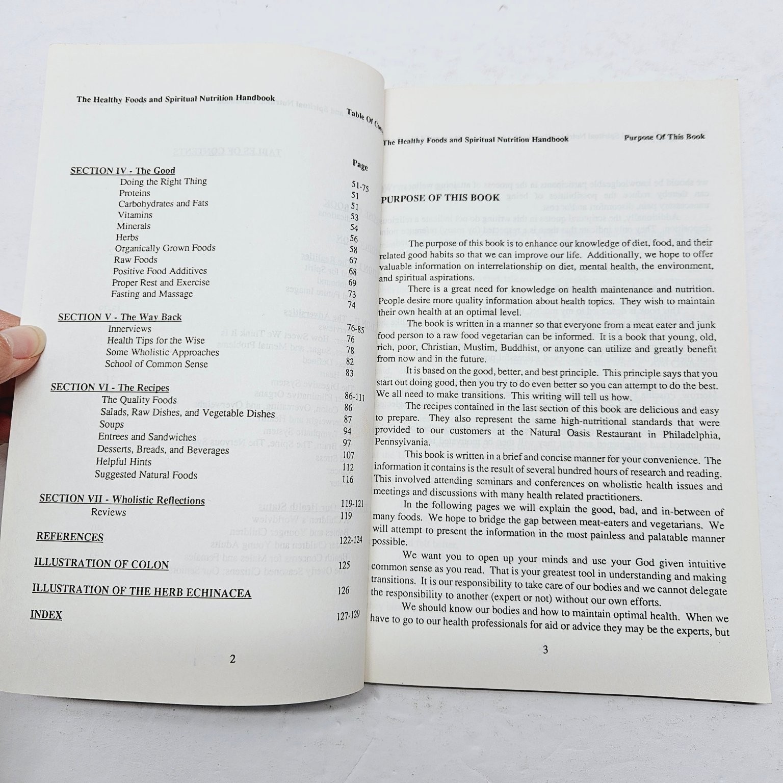 Spiritual Nutrition / Healthy Foods Handbook – Keith T. Wright 1989 Pbk
