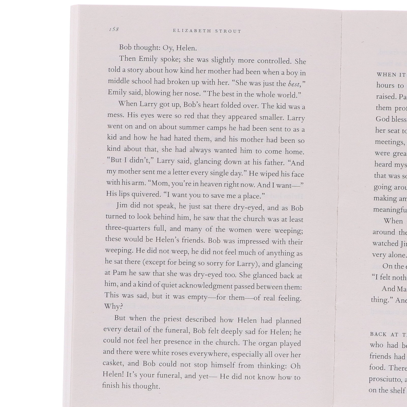 Amgash Series by Elizabeth Strout 5 Books Collection Set – Fiction – Paperback