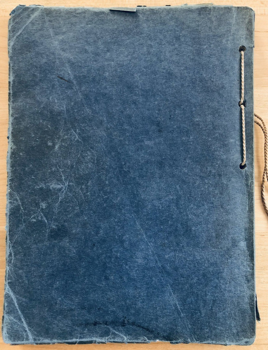 The Aitchpe 1914 Chicago Hyde Park High School Yearbook, Softcover, 200 pages