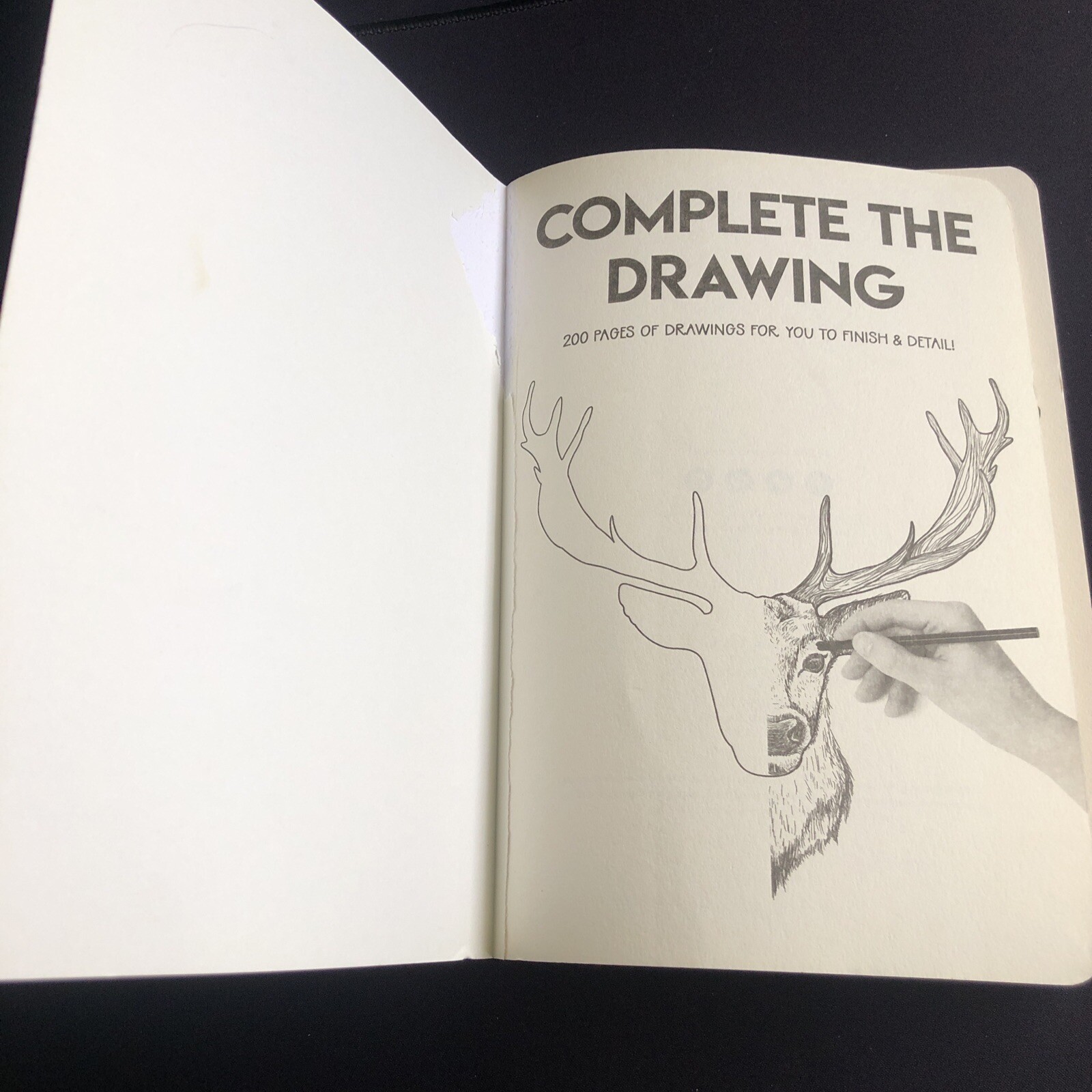 Complete The Drawing – 200 Pages Of Drawings For You To Finish & Detail! Lot