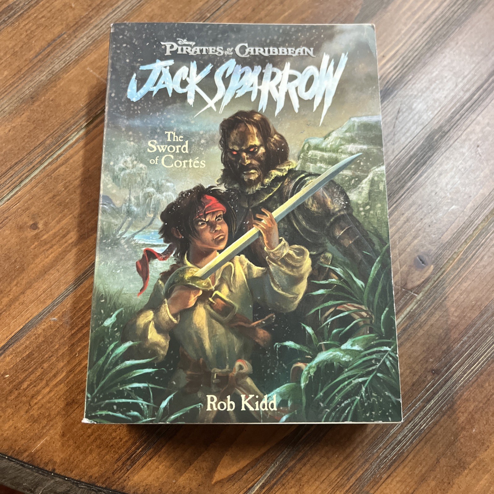 Lot Of 9 Jack Sparrow Books Books #1-9 Disney Press Series Set PB Kidd Pirates