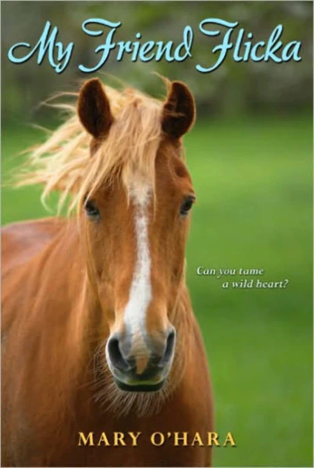My Friend Flicka: A Novel About Taming a Wild Horse on a Wyoming Ranch for K…
